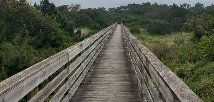 Romarski dnevnik k sv. Jakobu v Kompostelo. 2. DAN: Vila do Conde – Marinhas