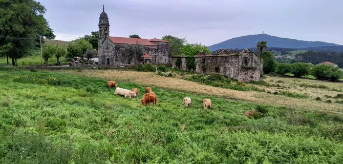Romarski dnevnik k sv. Jakobu v Kompostelo: 9. DAN: Tivo – Porta Dos Marinos